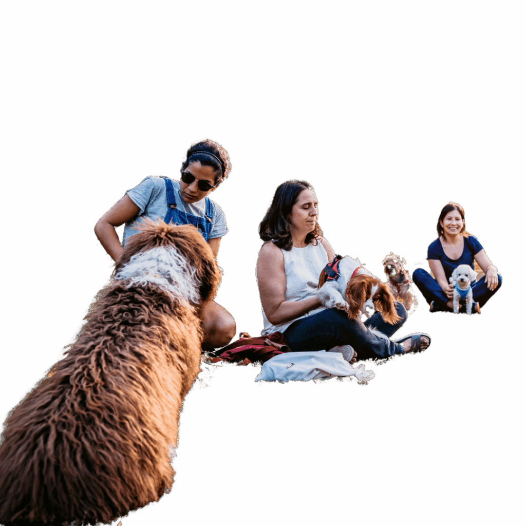 A group of diverse pet parents sitting outdoors with their dogs, enjoying community and connection.